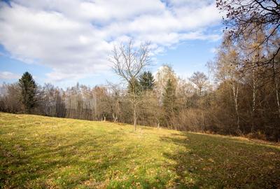 Teren intravilan, cu PUZ, Bran Tohanita,  SE ACCEPTĂ ȘI SCHIMB - 9