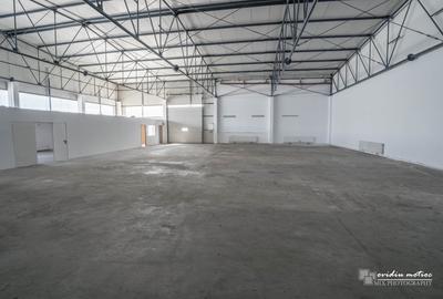 Spațiu industrial, de 550 mp, în Someșeni - 1