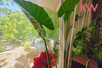 Apartament 3 Camere, Zona Linistita-Severinului - 1