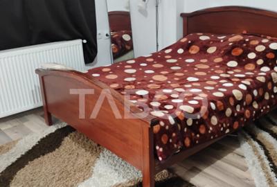 Casa individuala de vanzare cu 2 camere 1150 mp teren Seica - 7