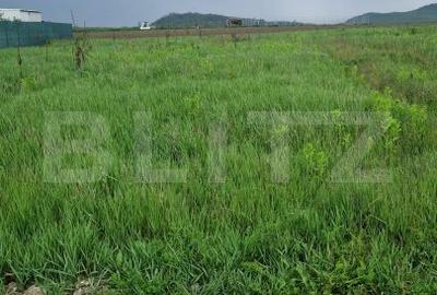 Teren pentru casa intravilan , 800 mp deschidere la drum Bod - 5