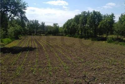 Casă cu 3 camere cu Teren 2268 Mp în Talpoș - 1