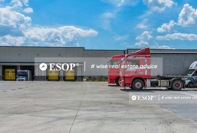 Logicor Mogosoaia, hale pentru depozitare, productie, 2.000 - 23.000mp - 3