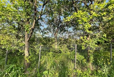 Teren intravilan ,cu vegetatie, 2700 mp, zona Siret - 9