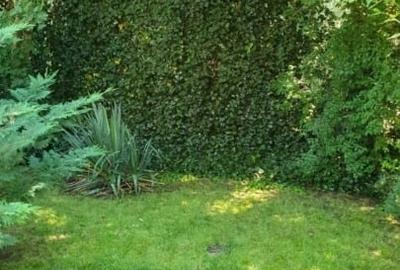 Teren cu locatie premium la liziera padurii Baneasa, in Sector 1, Bucuresti - 4