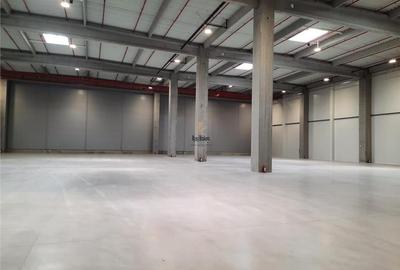 Spatiu Industrial - 5300 mp - Logistica - Productie - Depozitare - Distributie - 6