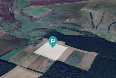 13ha de teren compact Ianova-Bencec - 1