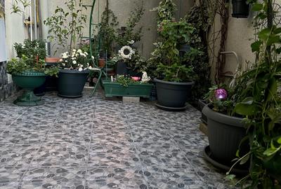 Rahova - Salaj - Parc Humulesti - 7