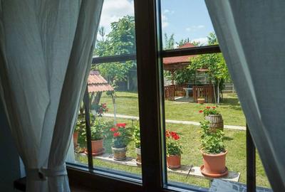 Casă cu 2 camere cu Teren 4000 Mp în Spitalul Județean - 2