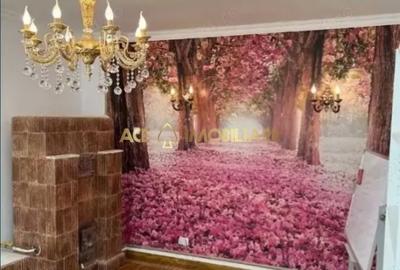 Casă individuală cu 3 camere cu Canalizare în P-ța Muncii - 10