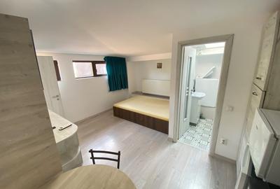 Garsonieră decomandată, mobilată în Podu Roș - 3