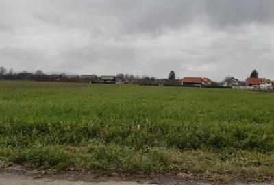 Teren de 2325 mp, în Triaj