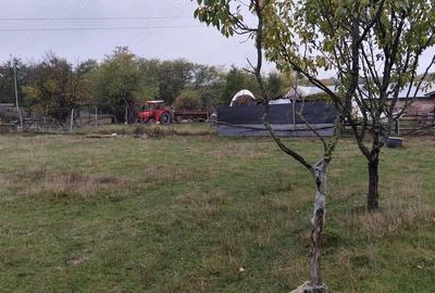 Spațiu comercial, de 240 mp, în Ștubeiu - 15