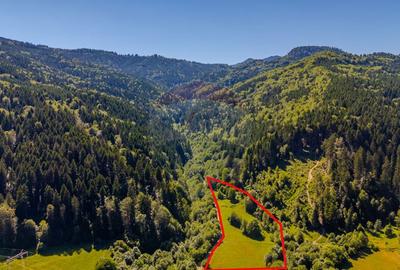 COMISION 0% Teren Bradet 7300 + 6000 mp/ Sacele /Intravilan - 9