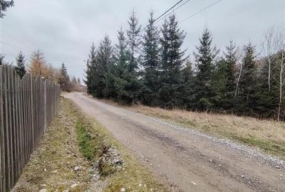 Teren intravilan Gheorgheni (str. Szarvas, zona km4) - 3