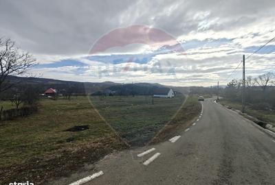 Spațiu comercial, în Șurdești - 3