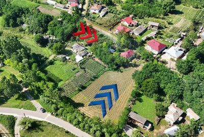 Casa cu teren de vanzare in Rugionasa iasi - 2