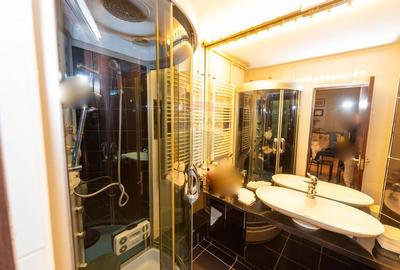 Apartament deosebit de vanzare 3 camere in vila Decebal - Alba Iulia - 23
