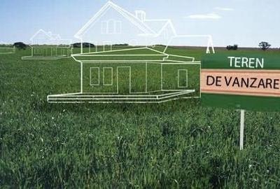 Teren 23 august intravilan 3000m2, 92ml deschidere cu autorizatie - 1