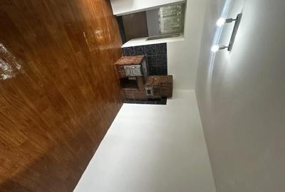 Casă cu 2 camere cu Teren 2700 Mp în Mica - 8