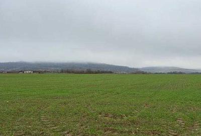 Spațiu comercial, în Central