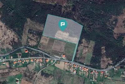 Teren de vanzare 5,47 ha | Dealul Viilor, Lugoj - 1