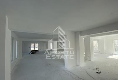 Spatiu comercial 120 mp, zona Lipovei , artera circulata - 3