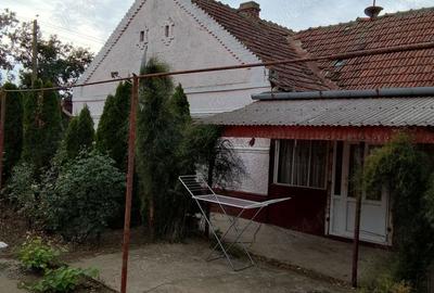 Casă în Iecea Mare - 9
