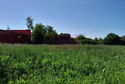 Teren de 1800 mp, în Movilița - 9