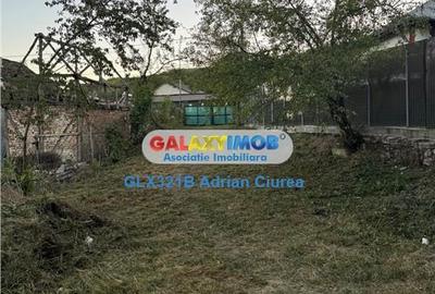 Casă cu Teren 443 Mp în Aninoasa - 3