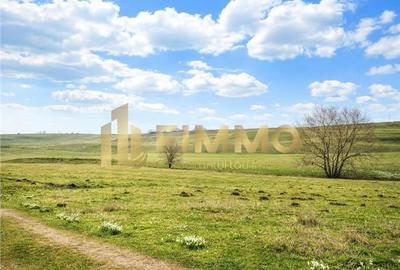 Teren de 5811 mp, în Bosanci