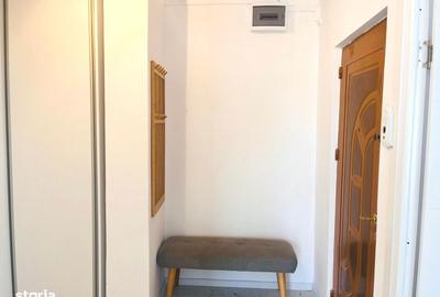 Apartament cu 2 camere decomandat, mobilat în Brazda lui Novac - 11