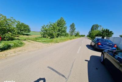 Teren de 3000 mp, în 1 Decembrie