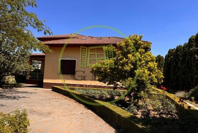 Casă individuală cu 12 camere cu Piscina în Bariera Vâlcii - 9