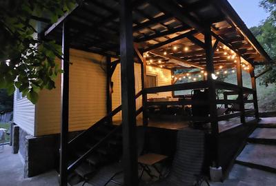 Casă cu 3 camere în Provița de Sus - 8