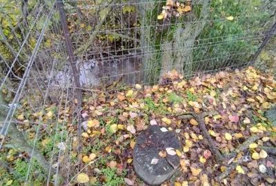 Casa individuala, teren 1000 mp, comuna Bratovoesti - 15