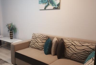 Apartament doua camere, decomandat, mobilat si utilat frumos, Parcul Catedralei - 6
