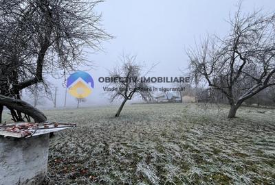 Casa si teren- Negresti - 16