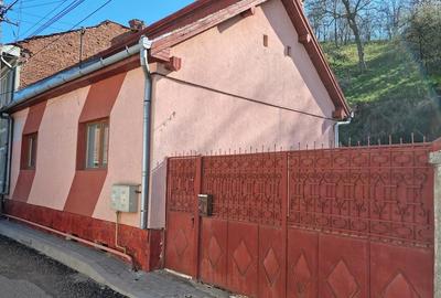 Casă cu 3 camere cu Teren 2700 Mp în Central - 1