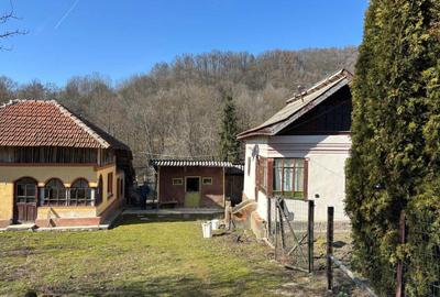 Casă cu 4 camere în Priboaia - 2