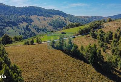 Teren de 1000 mp, în Băișoara - 1