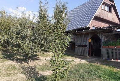 Casă cu 2 camere cu Teren 4000 Mp în Bârnova - 11