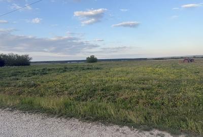 Spațiu comercial, în Păușa