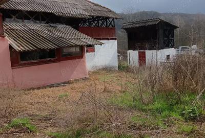 Proprietatea ta la Blidari 12 km de Ramnicu Valcea,constructii:235mp+109mp si teren7277mp intravilan - 7