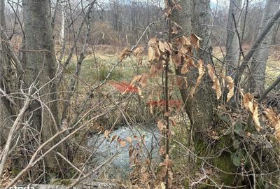 Spațiu comercial, în Prundu Bârgăului - 5