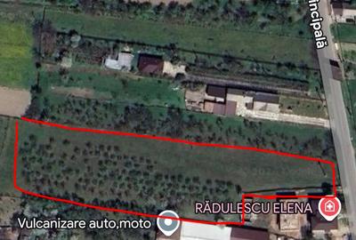 Teren în Pruni - 1