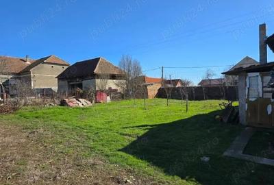 Casă cu Teren 980 Mp în Satchinez - 4