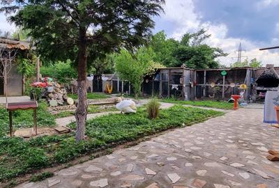 Casa parter cu teren de 1400 mp in Bariera Valcii aproape de drumul expres - 7