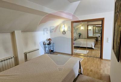 Vila deosebita de vanzare in Chitila, la 150 m de padure, in apropiere - 39