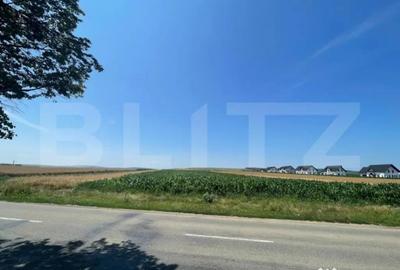 Teren de 10300 mp, în Central